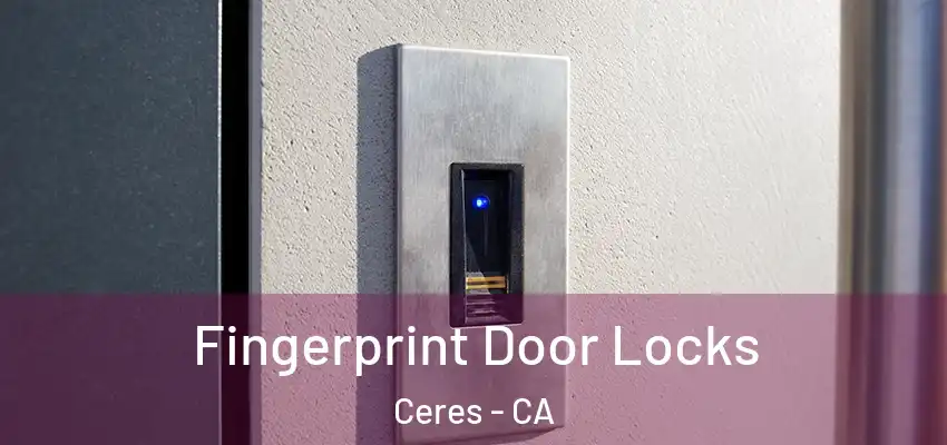 Fingerprint Door Locks Ceres - CA
